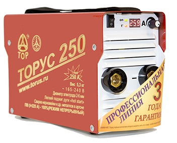Сварочный инвертор Торус 250 (Комплект)